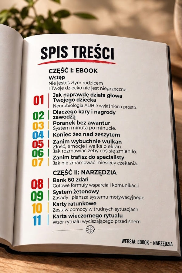 Przewodnik + Pakiet Narzędzi